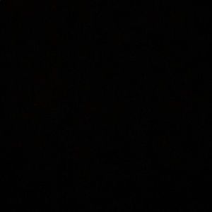 Meet your Posher, Phoebe